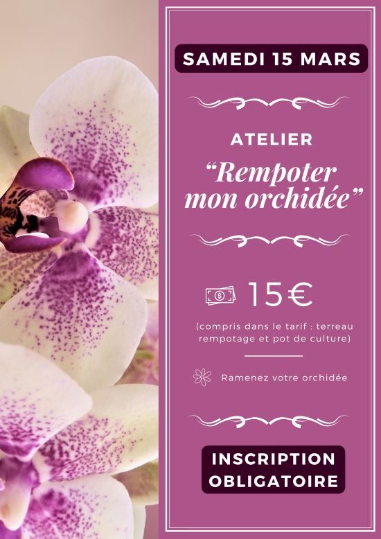 atelier rempoter mon orchidée mars 2025 jpg