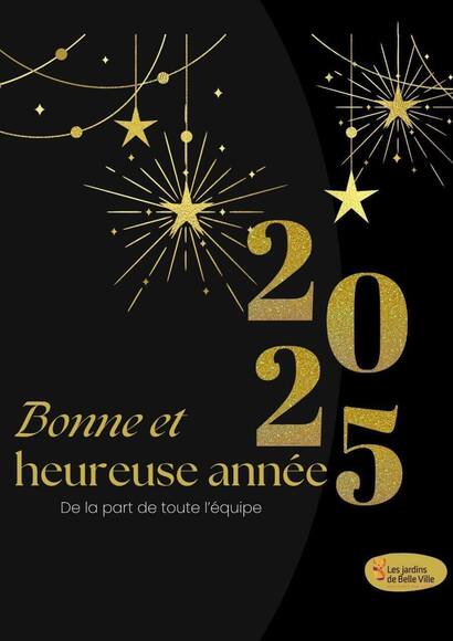 bonne année 2025