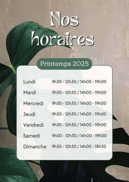 Horaires magasin Printemps